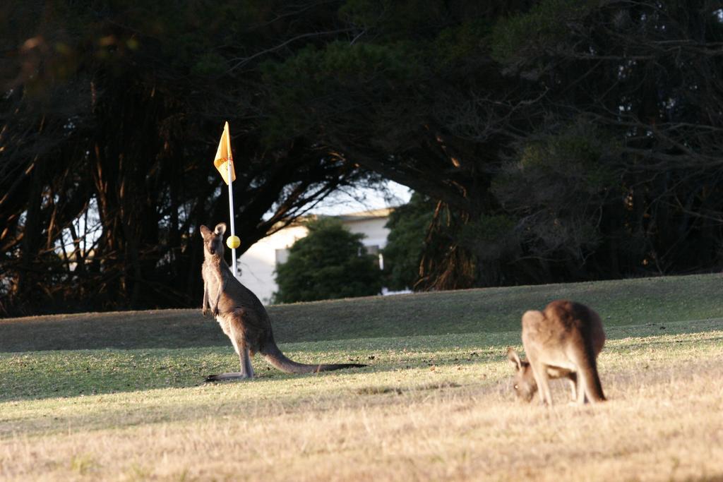 Lakeside At Apartment Mallacoota